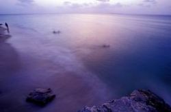 Swimmers in the bay off stonetown , Zanzibar. Dusk after ... by Andrew Woodburn 